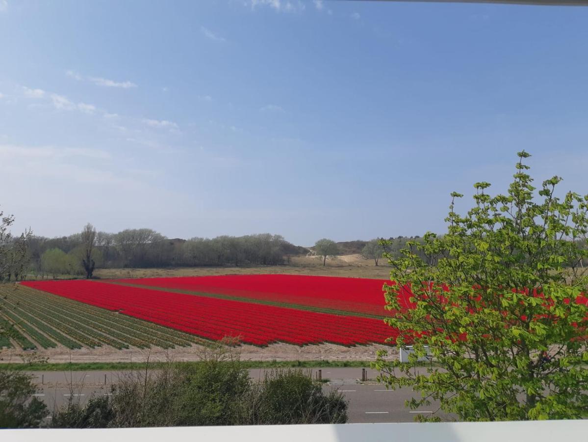 4T4 Apartment C Egmond aan den Hoef Eksteriør billede